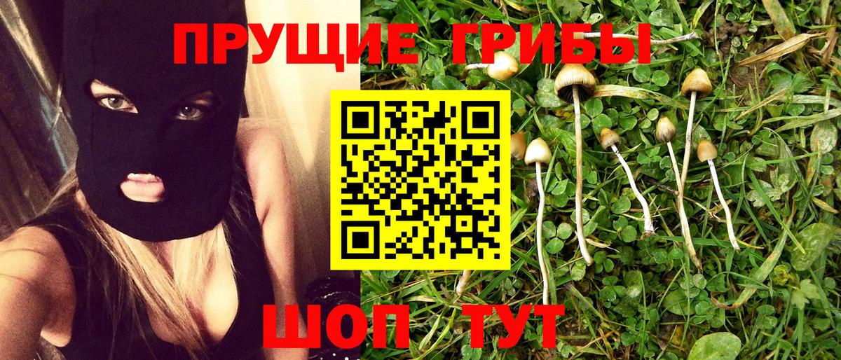 Салават  Галлюциногенные грибы Cubensis  Вход с VPN 