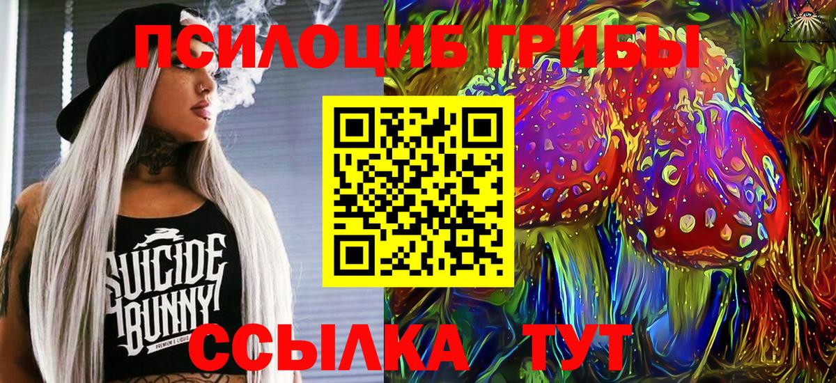Галлюциногенные грибы мухоморы Салават