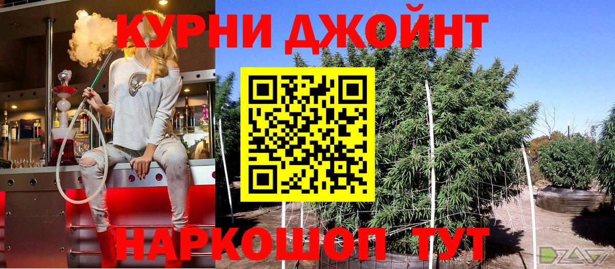 Конопля план  Вход с VPN  Салават  Бошки марихуана SATIVA & INDICA 